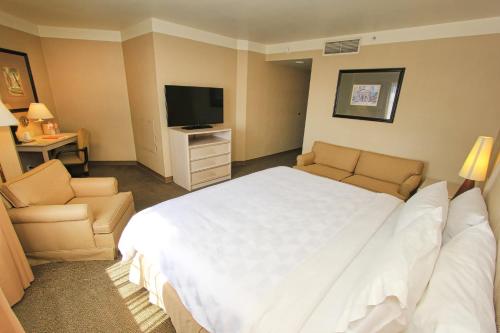 492143115 Holiday Inn Leon-Convention Center by IHG