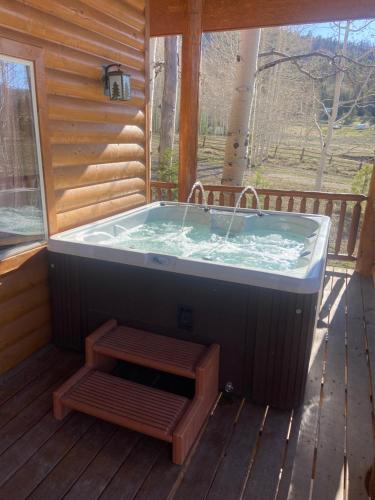 The Bison at Panguitch Lake - image 12