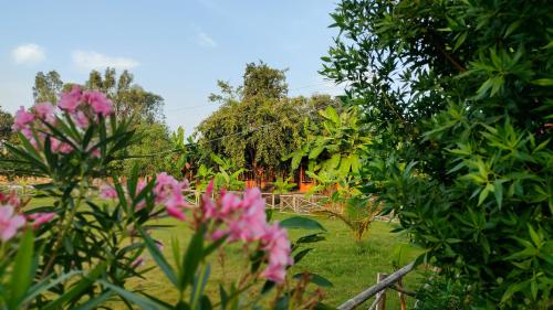 waterfall guesthouse