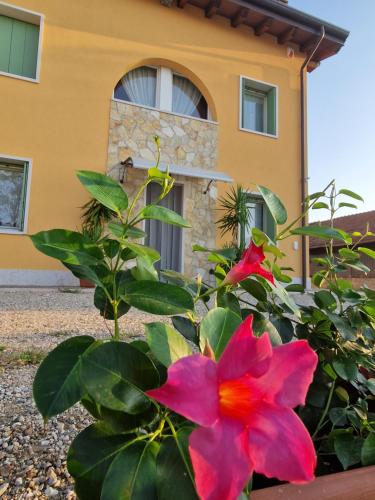 Agriturismo Fiore - Accommodation - Ganfardine