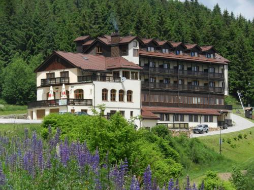 . Hotel Zieleniec