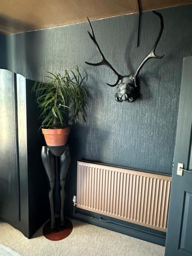 Stay at Watergate - image 10