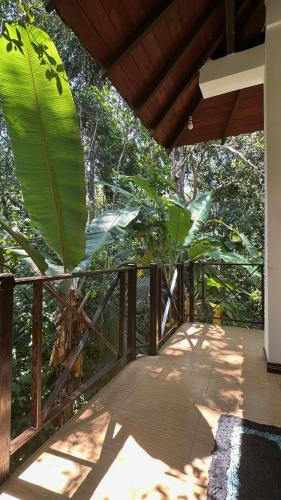 Double Room with Balcony image 2