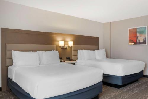 Queen Suite with Mobility Accessible Roll-In Shower