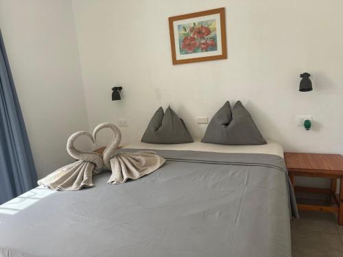 Casa Parque Don Jose 3