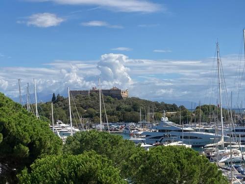 Enjoy Antibes - Tap to explore photos