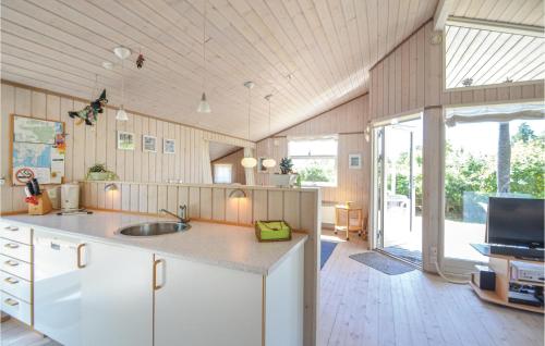 廚房, Holiday Home Pilebakken Ebeltoft V in 埃貝爾托夫特縣