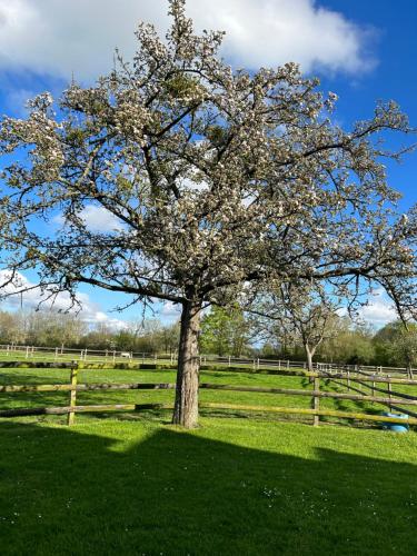 La Longere du Haras