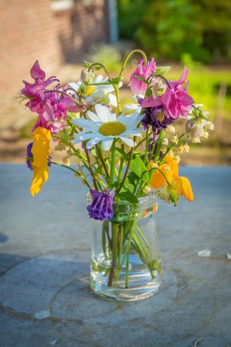 B&B Schipborg - image 10