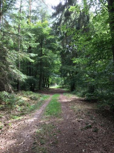 Omgeving, Alte Schmiede in denkmalgeschützter Hofanlage (Alte Schmiede in denkmalgeschutzter Hofanlage) in Bitburg