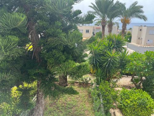 Modern Seaview Townhouse in Coral Bay, Peyia (Foto 5)