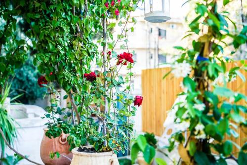 Dreamy White Minimalist 2 Bed/Bath with Garden - image 12