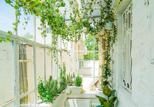 Dreamy White Minimalist 2 Bed/Bath with Garden - image 8