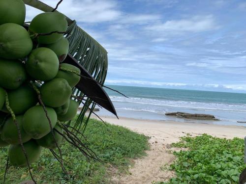 Casa no Paraíso dos Carneiros em Tamandaré