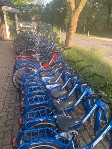 Wellness Chalet Veluwemeer Wellness Chalet Veluwemeer