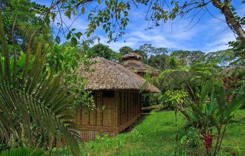 Giardino, La Selva Eco-Lodge & Retreat in Cuyabeno