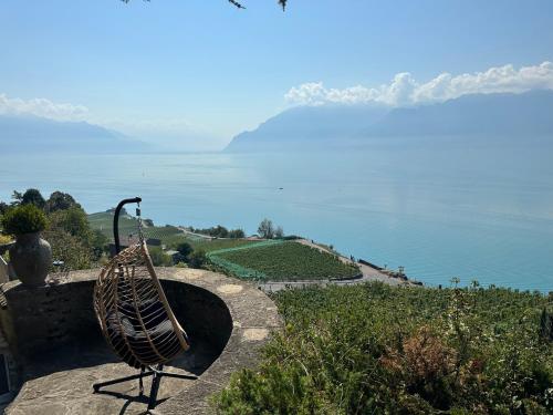 Panoramic Room in the vineyard,stunning views of lake and Alps in Puidoux, Schweiz