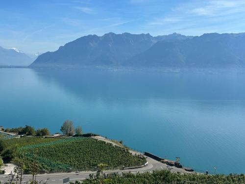 Panoramic Room in the vineyard,stunning views of lake and Alps