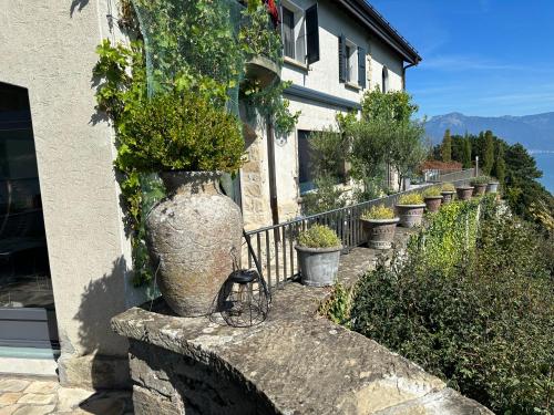 Panoramic Room in the vineyard,stunning views of lake and Alps