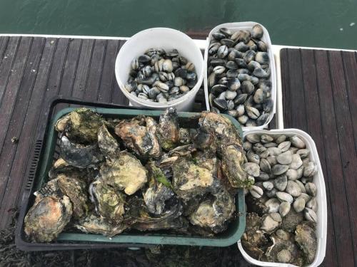 Les Hortensias N3 Maison 86m2 5mn de l'île de Ré et de la plage