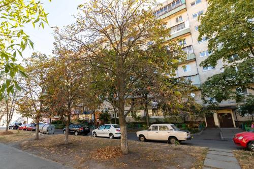 Kvartirkoff na Archipenko 4 - image 8
