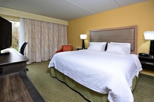 King Room - Hearing Access/Non-Smoking