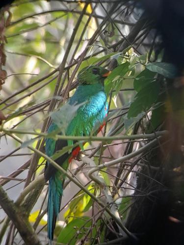 Sendero de las aves