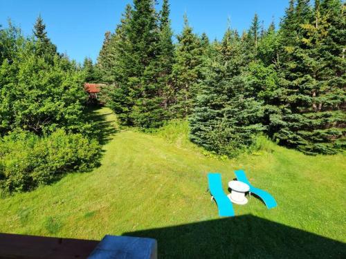 cozy apartment near the ocean in Charlos Cove (NS)