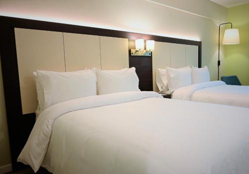 492408855 Holiday Inn Express Rosario by IHG
