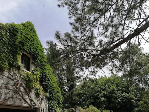 Gîte Hautes Côtes de Nuits