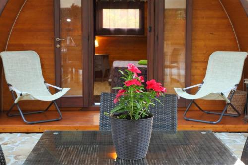 Family Bungalow image 4