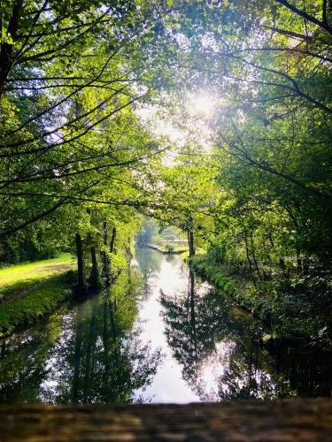 Tiny House im Spreewald