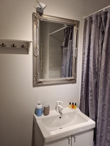 Lovely 1-bedroom condo, Riga (foto 8)
