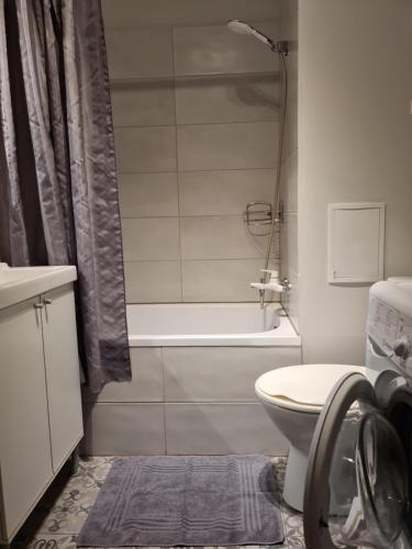 Lovely 1-bedroom condo, Riga (foto 9)