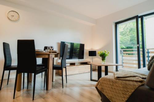Apartament ZŁoty Jeleń - z Kominkiem - ścisłe Centrum miasta- Sauna - Widok na Góry, Szklarska Poręba (Foto 4)