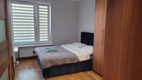 Queen Apartament Centrum z garażem