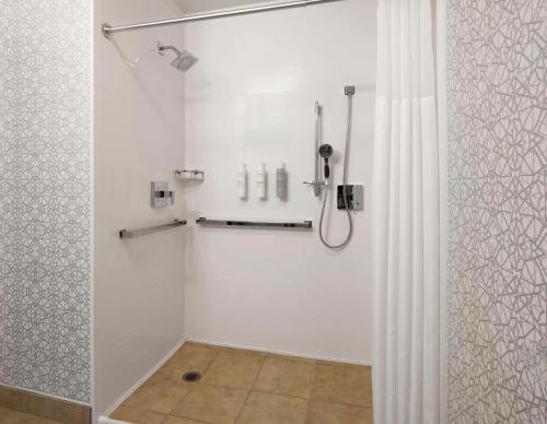 King Suite with Roll-In Shower - Mobility and Hearing Access/Non-Smoking