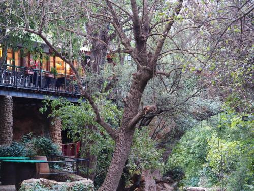 Moli l'Abad in 貝尼法薩波布拉