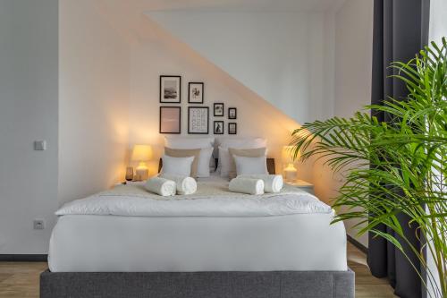 Aparthotel Solskiego Wrocław