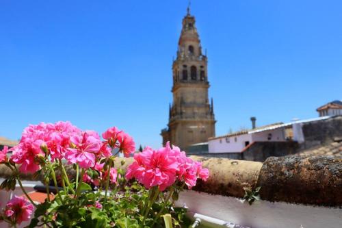Casa con encanto en la judería de Córdoba, Córdoba (fotografie 5)