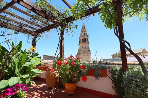 Casa con encanto en la judería de Córdoba, Córdoba (fotografie 10)