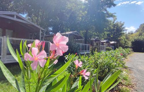 Camping Capfun La Bretèche 4