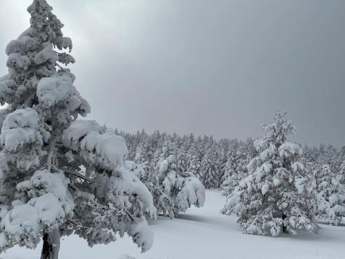 A környék, Casa Suu Valdelinares VUTE-23-025 in Valdelinares