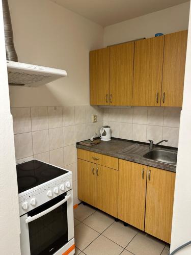 Bydlení v Brumově s.r.o. Bydlení v Brumově s.r.o.