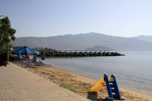 Hotel Stella - image 5