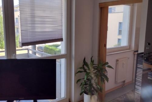 Private Apartment, Hannover (fotografie 4)