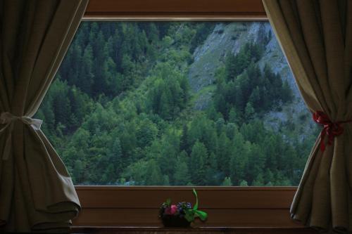 Shatush Hotel - image 4