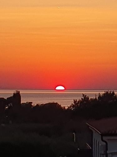 Apartments Oleander Lovrečica in Umag