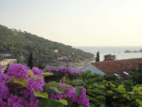  Villa Marija in Dubrovnik