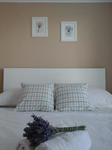 Apartments Anita Frane